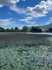 大覚寺(京都府)