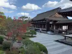 仁和寺の庭園