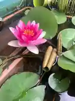 宝壽山 吉祥院の自然