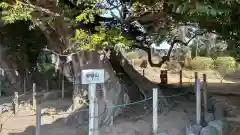 九重神社(埼玉県)