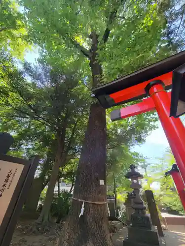 大谷場氷川神社のその他建物