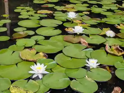 平安神宮(京都府)