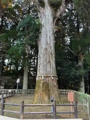 霧島神宮(鹿児島県)