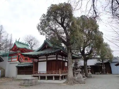 赤留比売命神社（杭全神社飛地境内社）の本殿