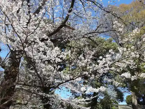 阿佐ヶ谷神明宮(東京都)