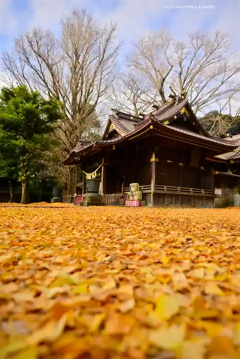 玉敷神社(埼玉県)