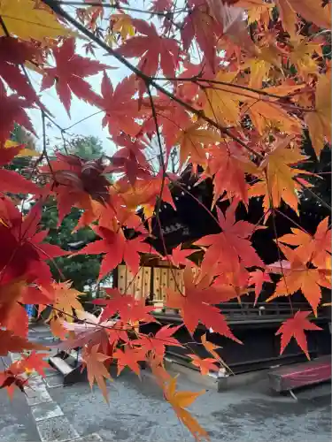 七社神社(東京都)