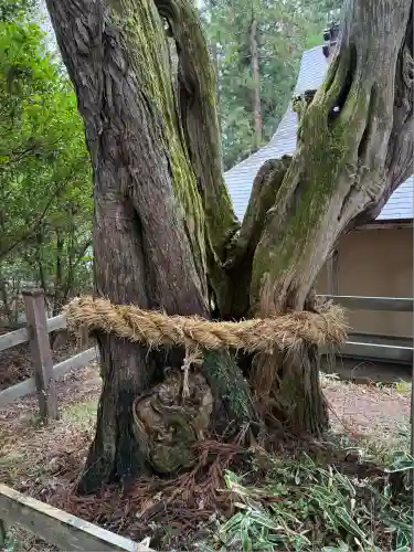 皆神神社(長野県)