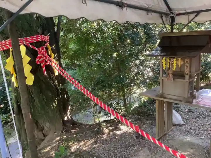 白山宮の末社・摂社