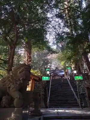 高千穂神社(宮崎県)