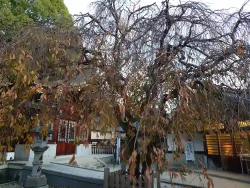 速谷神社(広島県)