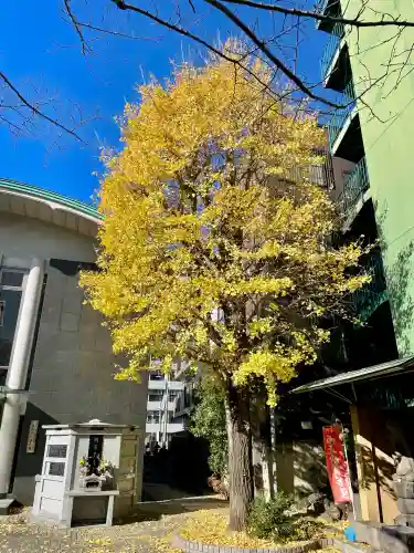 密嚴院(東京都)