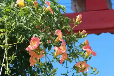 大鏑神社の鳥居