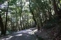 月讀宮(皇大神宮別宮)の自然