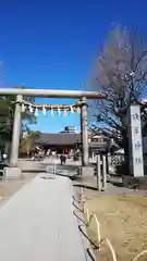 浅草神社の鳥居