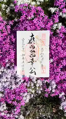 5月4日限定
のぼり祭 真田昌幸公御朱印