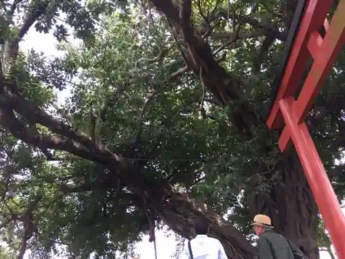 稲荷神社のその他建物