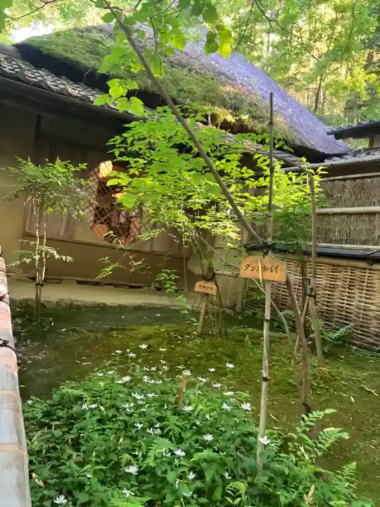 祇王寺の{uncategorized: "未分類", other: "その他", undefined: "問題あり", building: "その他建物", grave: "お墓", sacred_gate: "鳥居", guardian: "狛犬", statue: "像", buddha: "仏像", history: "歴史", nature: "自然", garden: "庭園", animal: "動物", pagoda: "塔", temizu: "手水舎", mountain_gate: "山門・神門", sanctuary: "本殿・本堂", subordinate: "末社・摂社", art: "芸術", scenery: "景色", jizo: "地蔵", ema: "絵馬", goshuin: "御朱印", omikuji: "おみくじ", items: "授与品その他", amulet: "お守り", goshuincho: "御朱印帳", eats: "食事", festival: "お祭り", votive_dance: "神楽", shichigosan: "七五三参", wedding: "結婚式", experience: "体験その他", initially: "初詣", around: "周辺", anti_infection: "感染症対策"}