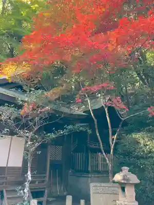 徳光院の本殿・本堂