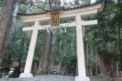 飛瀧神社（熊野那智大社別宮）(和歌山県)