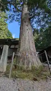 日枝神社(岐阜県)(2024年09月25日(水) 09時10分24秒投稿)