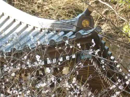 安國論寺（安国論寺）(神奈川県)