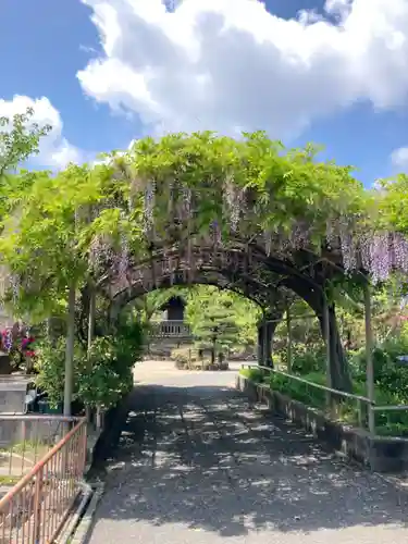 誉田八幡宮の庭園