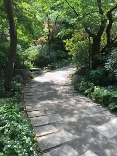 高幡不動尊　金剛寺の庭園