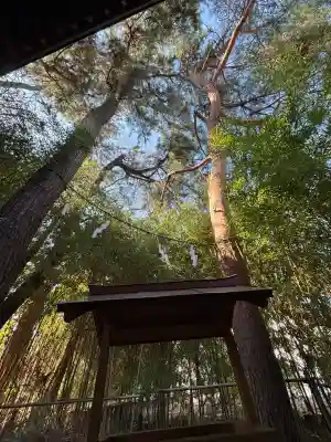 自由が丘熊野神社の{uncategorized: "未分類", other: "その他", undefined: "問題あり", building: "その他建物", grave: "お墓", sacred_gate: "鳥居", guardian: "狛犬", statue: "像", buddha: "仏像", history: "歴史", nature: "自然", garden: "庭園", animal: "動物", pagoda: "塔", temizu: "手水舎", mountain_gate: "山門・神門", sanctuary: "本殿・本堂", subordinate: "末社・摂社", art: "芸術", scenery: "景色", jizo: "地蔵", ema: "絵馬", goshuin: "御朱印", omikuji: "おみくじ", items: "授与品その他", amulet: "お守り", goshuincho: "御朱印帳", eats: "食事", festival: "お祭り", votive_dance: "神楽", shichigosan: "七五三参", wedding: "結婚式", experience: "体験その他", initially: "初詣", around: "周辺", anti_infection: "感染症対策"}