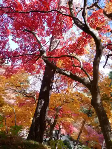 洞窟観音・徳明園・山徳記念館の景色