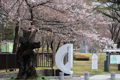 開成山大神宮の周辺