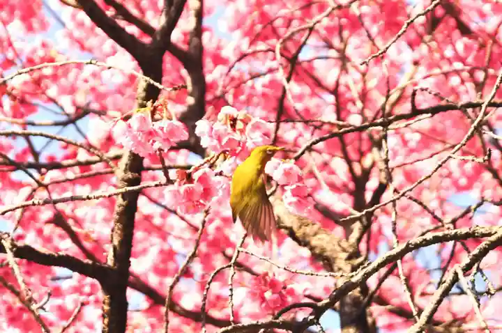 荏原神社(東京都)
