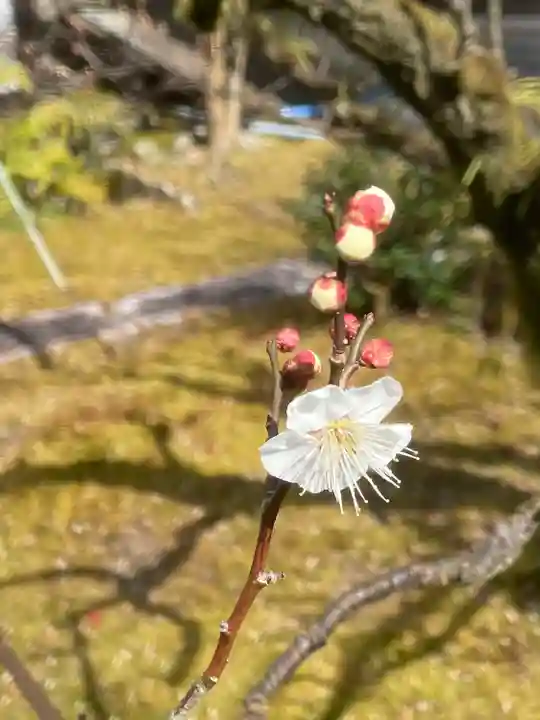 禅林寺(永観堂)の自然