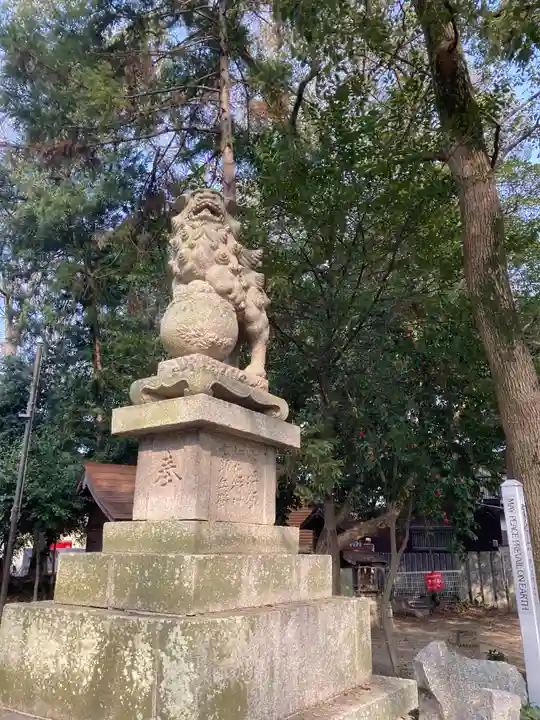 日招八幡大神社の狛犬