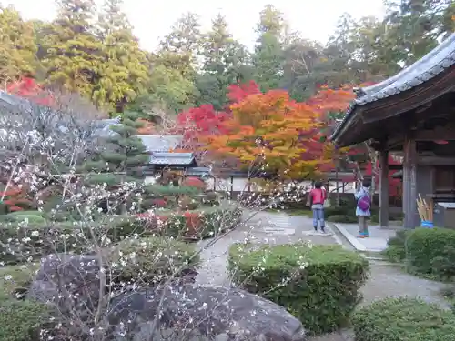 西明寺の庭園