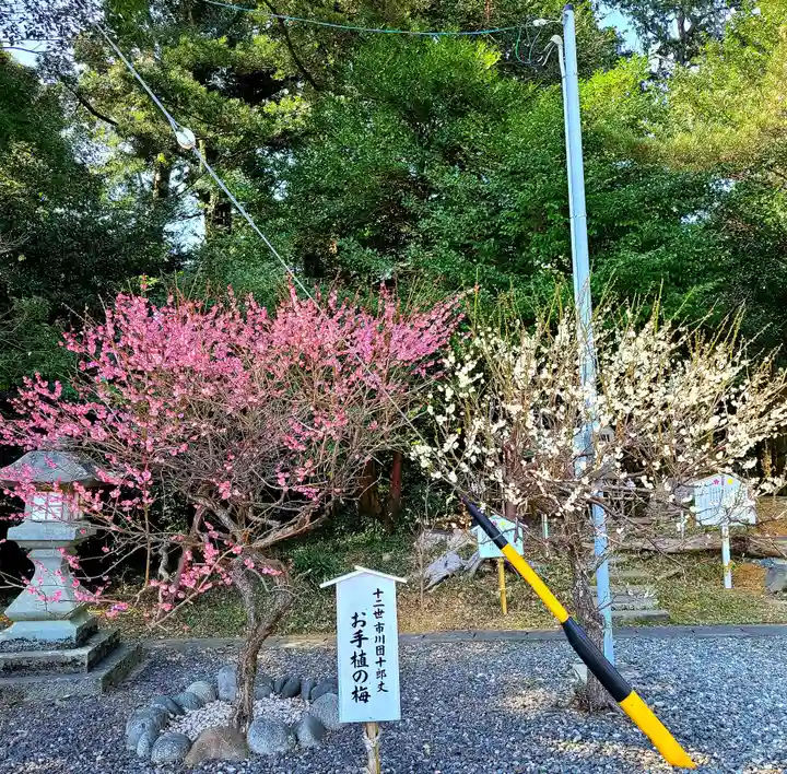 矢奈比賣神社(見付天神)(静岡県)