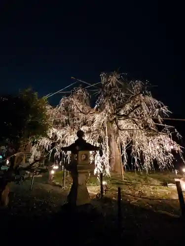 八幡社(愛知県)