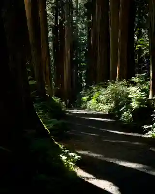 戸隠神社奥社(長野県)
