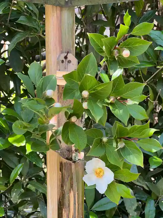 明月院(神奈川県)