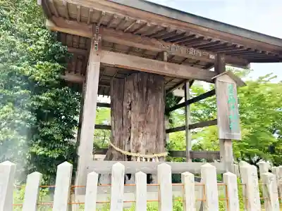 阿蘇神社(熊本県)