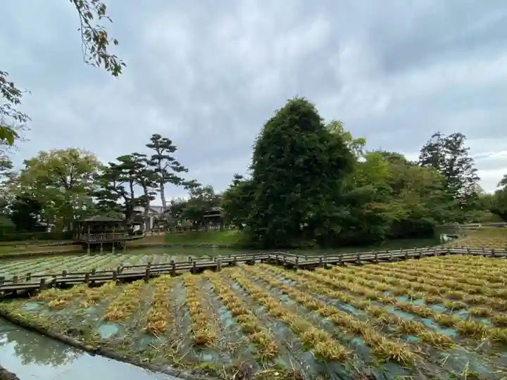 荘内神社の周辺