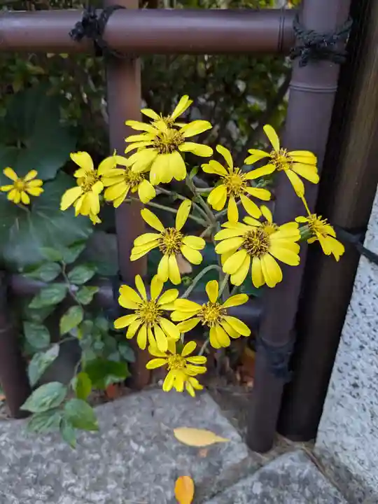 白山神社(東京都)