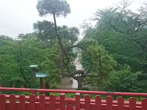 清水観音堂の庭園