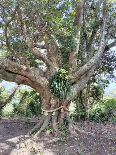 遠見岬神社(千葉県)