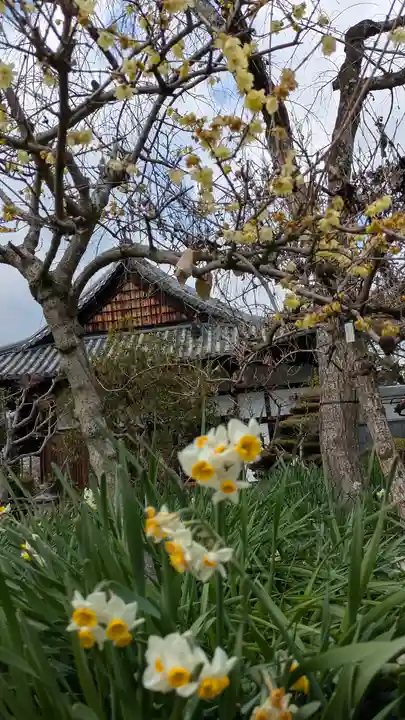 惠心院(恵心院)(京都府)