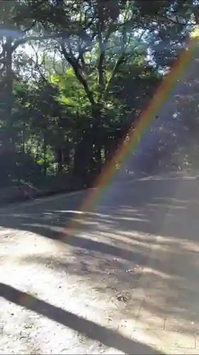 明治神宮(東京都)