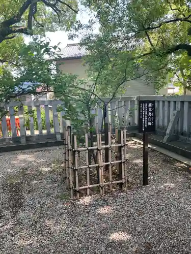 加納天満宮の自然