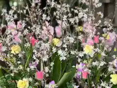 富知六所浅間神社(静岡県)