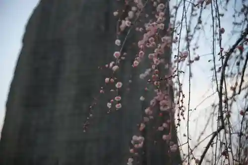 湯島天満宮のその他建物