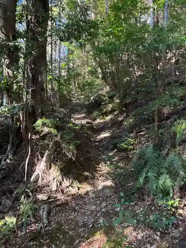 泰仙寺(徳島県)